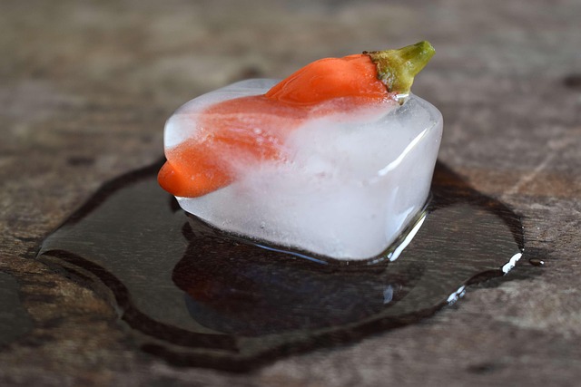 ice cube brema south africa